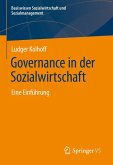 Governance in der Sozialwirtschaft (eBook, PDF)