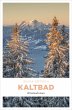 Kaltbad (eBook, ePUB) - Bild 1