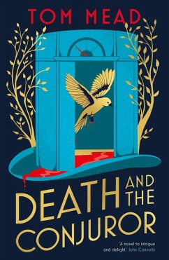 Death and the Conjuror (eBook, ePUB) - Mead, Tom