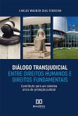 Diálogo Transjudicial entre Direitos Humanos e Direitos Fundamentais (eBook, ePUB)