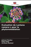 Évaluation de Lantana camara L pour la phytoremédiation