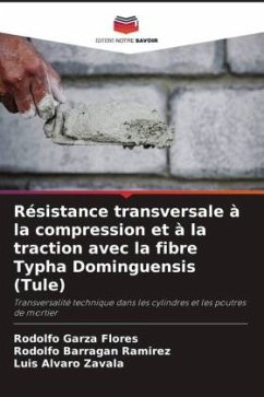 Résistance transversale à la compression et à la traction avec la fibre Typha Dominguensis (Tule) - Flores, Rodolfo Garza;Ramírez, Rodolfo Barragán;Zavala, Luis Alvaro