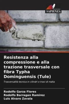 Resistenza alla compressione e alla trazione trasversale con fibra Typha Dominguensis (Tule) - Flores, Rodolfo Garza;Ramírez, Rodolfo Barragán;Zavala, Luis Alvaro