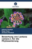 Bewertung von Lantana camara L für die Phytosanierung