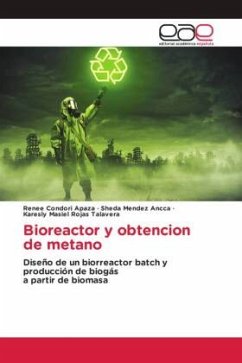Bioreactor y obtencion de metano