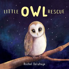Little Owl Rescue (MP3-Download) - Delahaye, Rachel