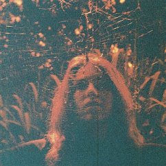 Peripheral Vision (Ltd.Clear Orange Vinyl) - Turnover