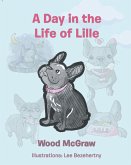 A Day in the Life of Lille (eBook, ePUB)