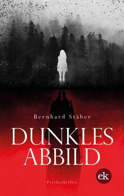 Dunkles Abbild (eBook, ePUB) - Stäber, Bernhard
