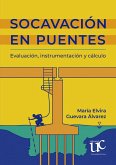 Socavación en puentes (eBook, PDF)
