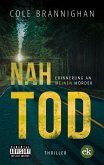 Nahtod (eBook, ePUB)