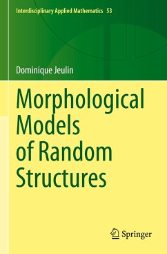 Morphological Models of Random Structures - Jeulin, Dominique