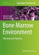 Bone Marrow Environment - Bild 1