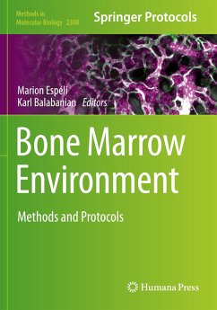 Bone Marrow Environment