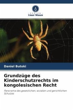 Grundzüge des Kinderschutzrechts im kongolesischen Recht - Butoki, Daniel