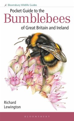 Pocket Guide to the Bumblebees of Great Britain and Ireland - Lewington, Richard