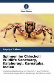 Spinnen im Chincholi Wildlife Sanctuary, Kalaburagi, Karnataka, Indien