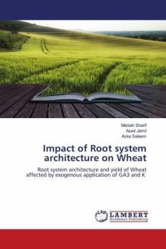 Impact of Root system architecture on Wheat