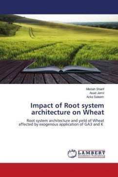 Impact of Root system architecture on Wheat - Sharif, Misbah;Jamil, Asad;Saleem, Azka