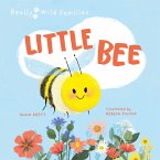 Little Bee (eBook, ePUB)