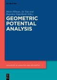 Geometric Potential Analysis (eBook, ePUB)