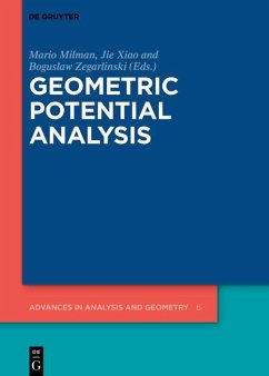 Cover Geometric Potential Analysis (eBook, ePUB)