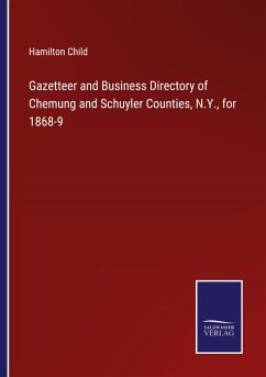 Gazetteer and Business Directory of Chemung and Schuyler Counties, N.Y., for 1868-9 - Child, Hamilton