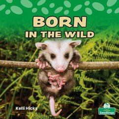 Born in the Wild - Hicks, Kelli