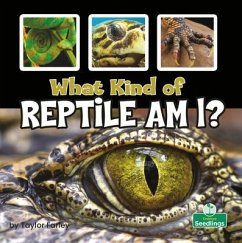 What Kind of Reptile Am I? - Farley, Taylor