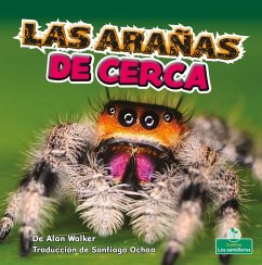 Las Arañas de Cerca (Spiders Up Close) - Walker, Alan