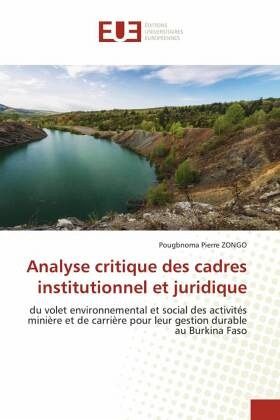 Analyse critique des cadres institutionnel et juridique Analyse critique des cadres institutionnel et juridique