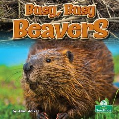 Busy, Busy Beavers - Walker, Alan