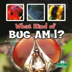 What Kind of Bug Am I? - Farley, Taylor