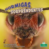 Hormigas Sorprendentes (Amazing Ants)