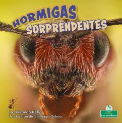 Hormigas Sorprendentes (Amazing Ants) - Kelly, Miranda