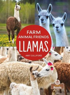 Llamas - Culliford, Amy