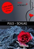 Puls - Schlag (eBook, ePUB) Puls - Schlag (eBook, ePUB)