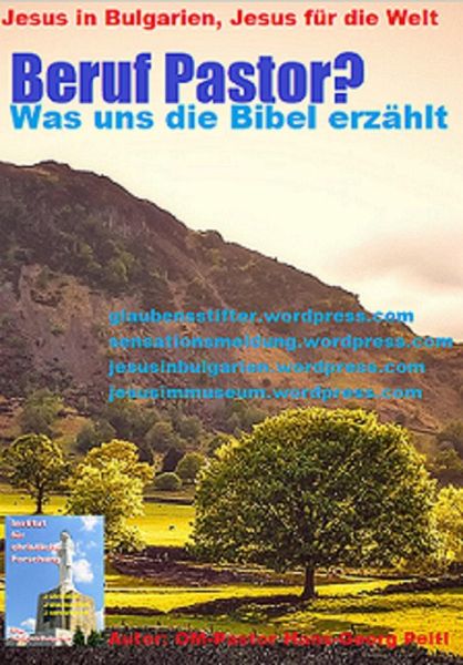 Beruf Pastor? (eBook, ePUB) Beruf Pastor? (eBook, ePUB)