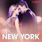 New York – eroottinen novelli (MP3-Download)