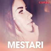 Mestari - eroottinen novelli (MP3-Download)