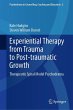 Experiential Therapy from Trauma to... - Bild 1