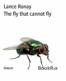 The fly that cannot fly (eBook, ePUB)