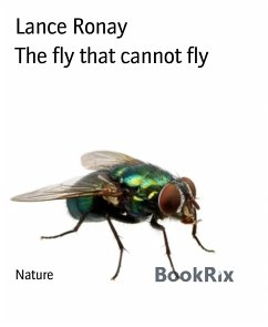 The fly that cannot fly (eBook, ePUB) - Ronay, Lance