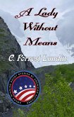 A Lady Without Means (eBook, ePUB)