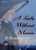 A Lady Without Means (eBook, ePUB)