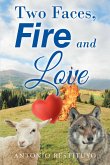 Two Faces, Fire and Love (eBook, ePUB)
