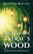 The Lights of Ystrac's Wood - Bild 1