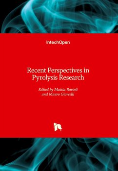 Recent Perspectives in Pyrolysis Research