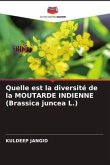 Quelle est la diversité de la MOUTARDE INDIENNE (Brassica juncea L.)