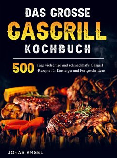 Das grosse Gasgrill Kochbuch - Jonas Amsel